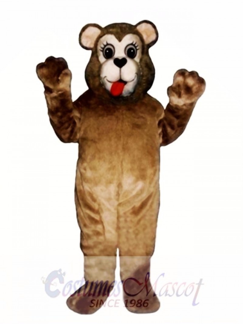 New Sweetheart Bear Mascot Costume