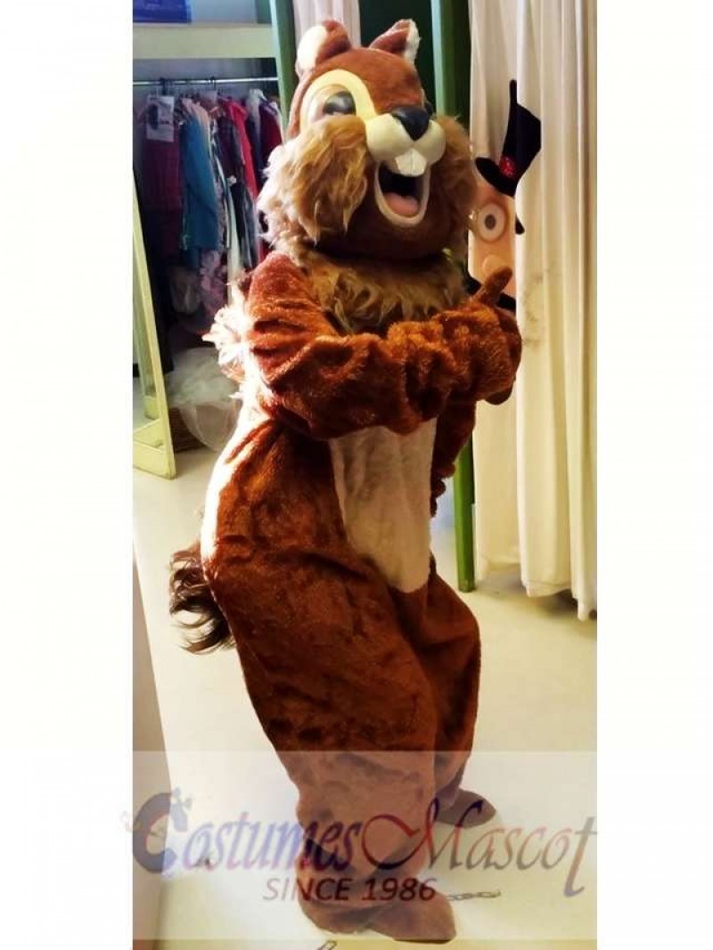 Animal Squirrel Mascot Costume