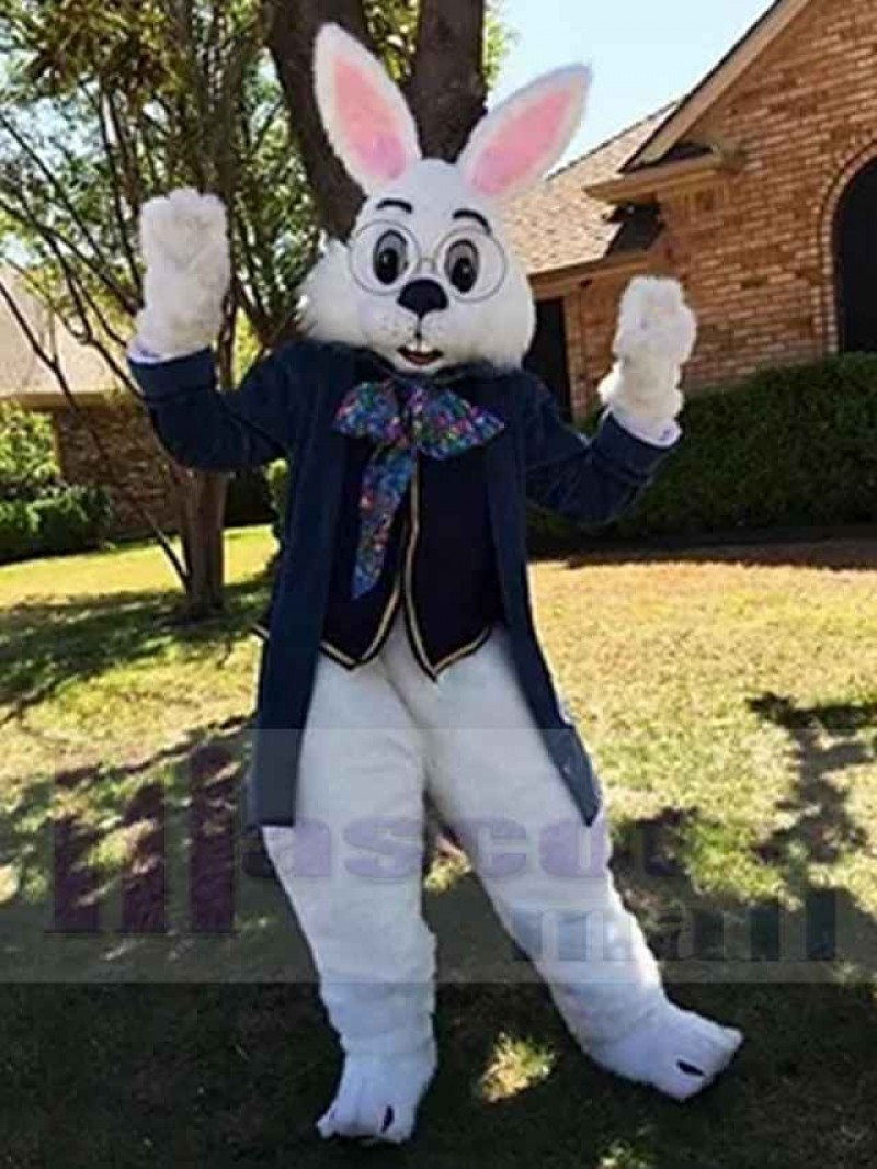 Easter Bunny Rabbit mascot costume