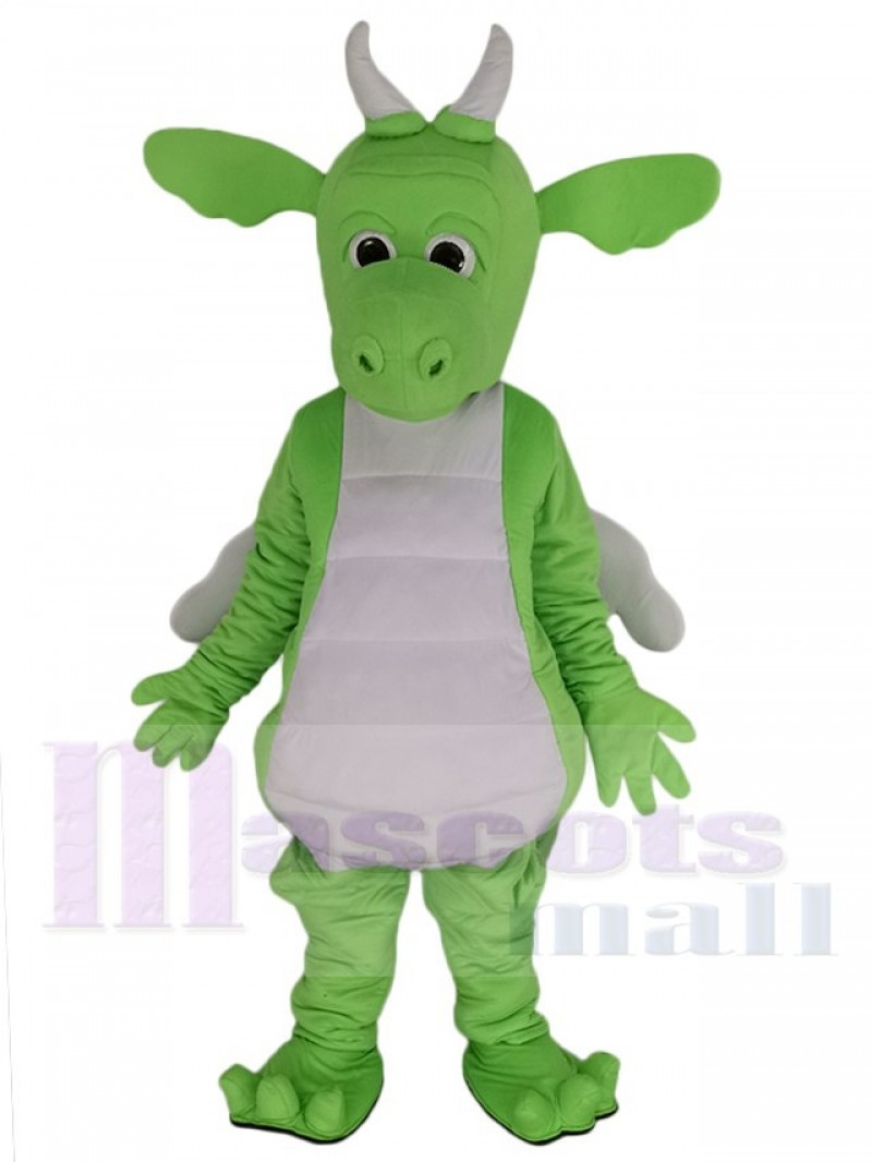 Dragon mascot costume