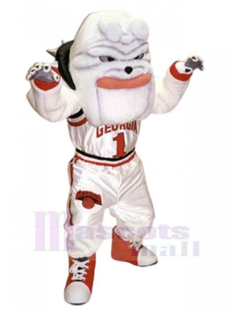 Dog mascot costume