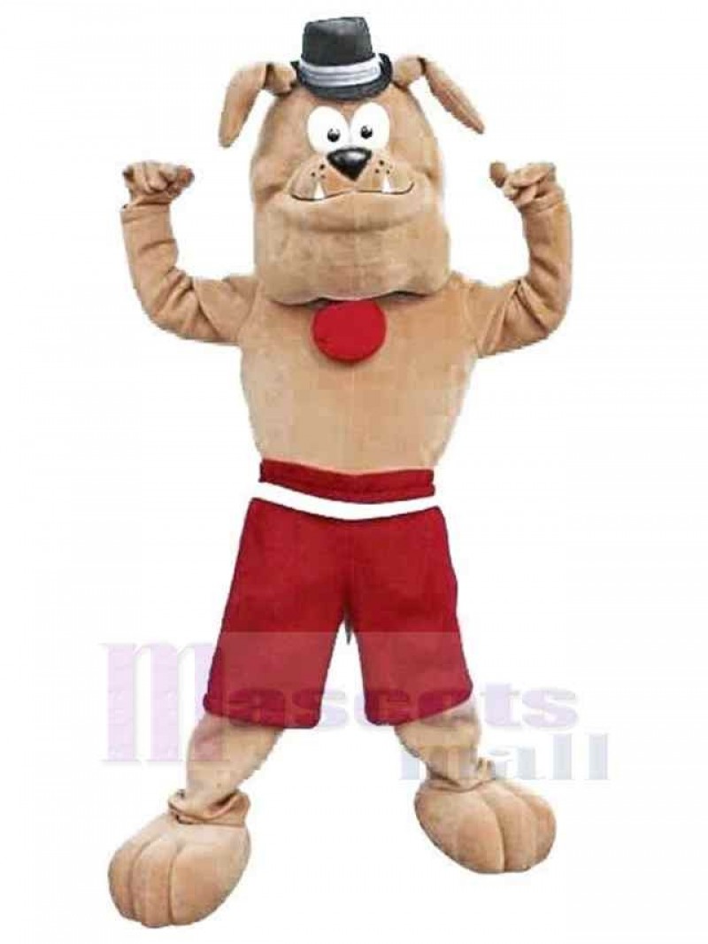 Dog mascot costume