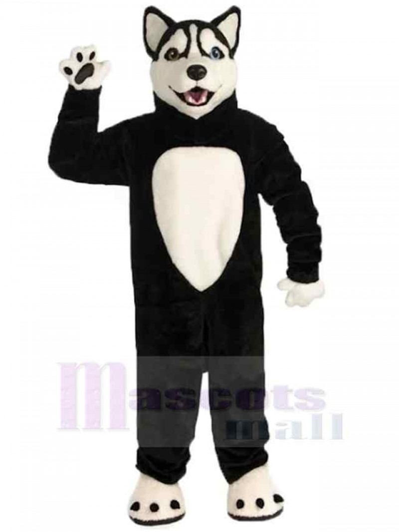 Wolf mascot costume