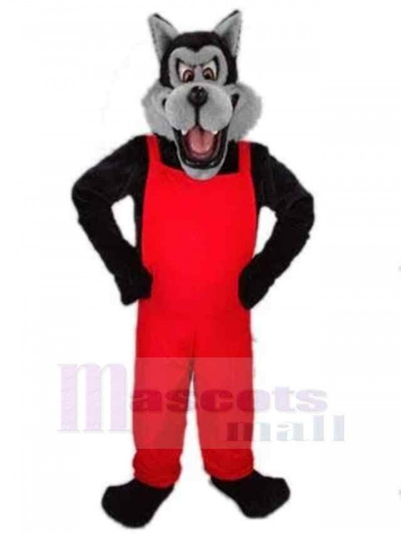 Wolf mascot costume