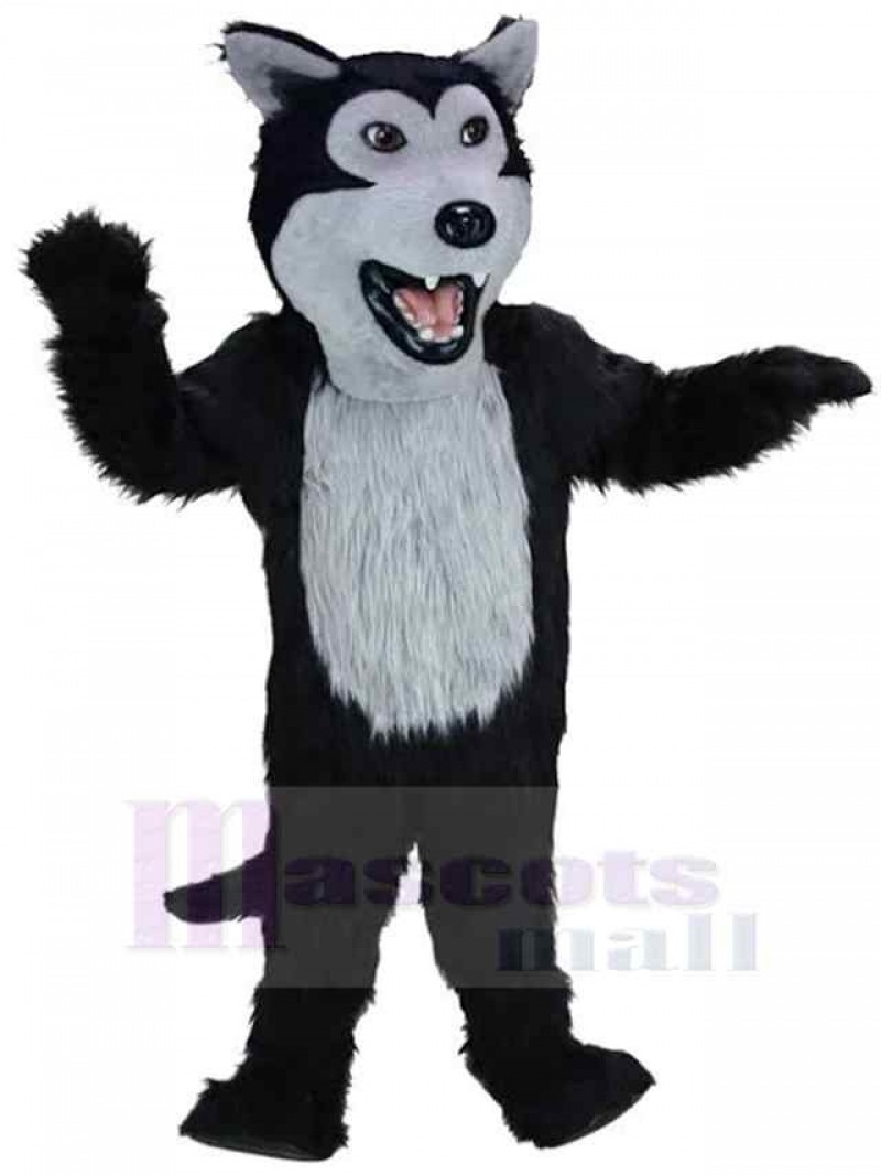 Wolf mascot costume