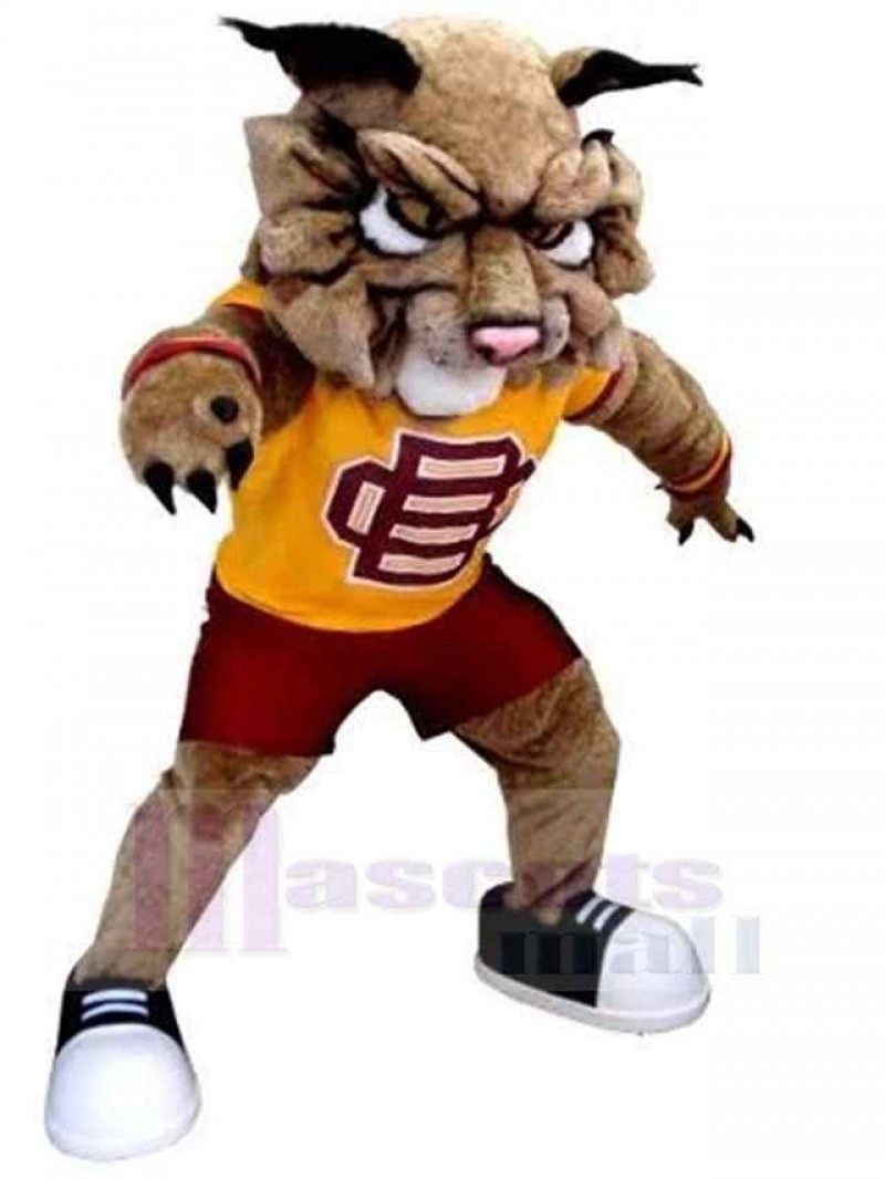 Tiger mascot costume