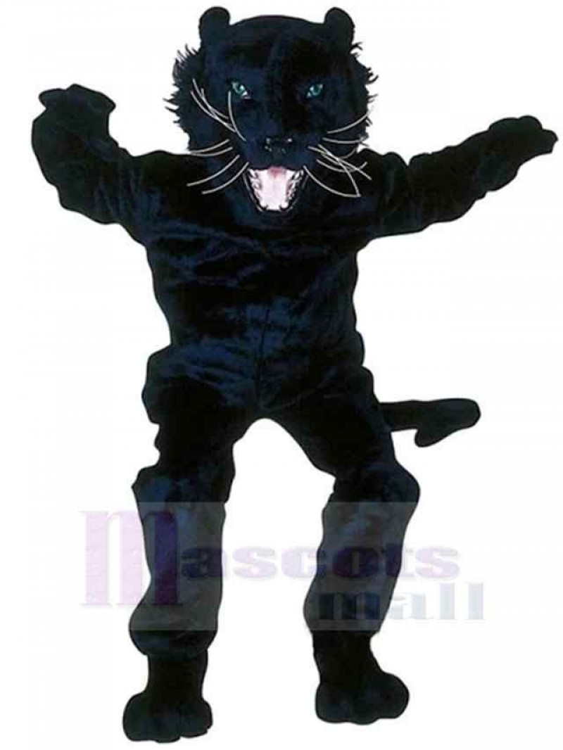 Panther mascot costume