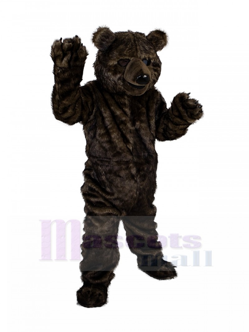 Bear mascot costume