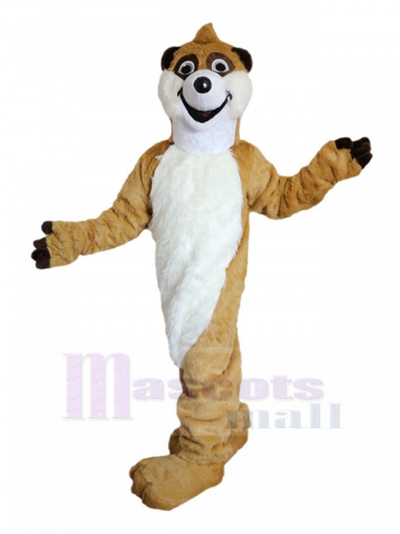 Raccoon mascot costume