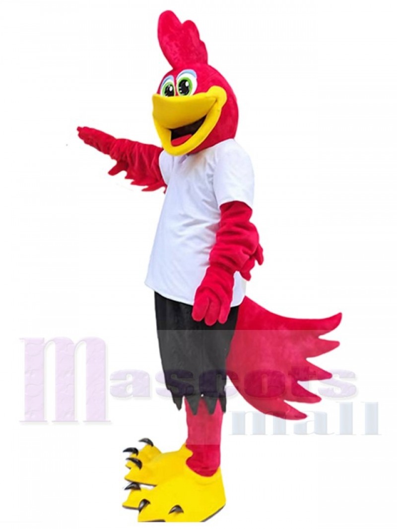 Roadrunner Bird mascot costume