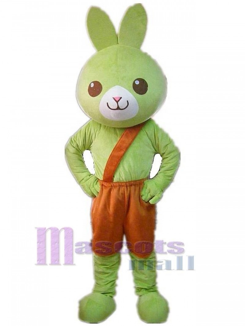 Rabbit mascot costume