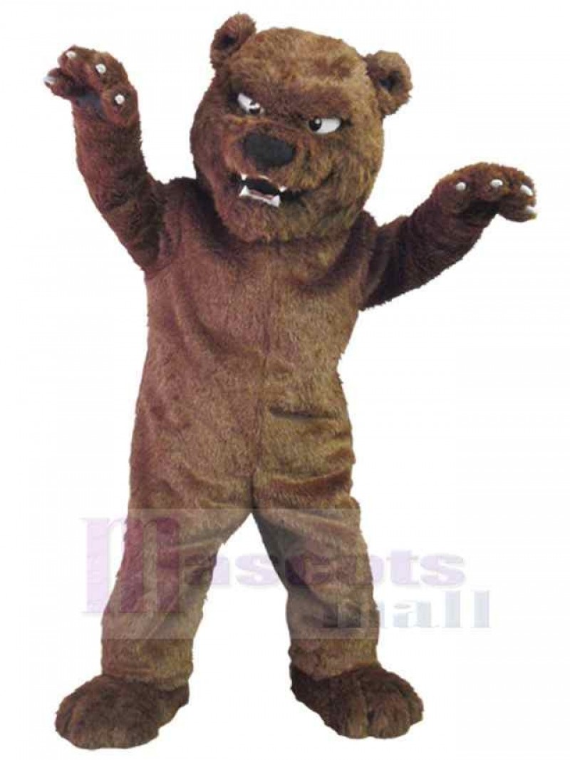 Bear mascot costume