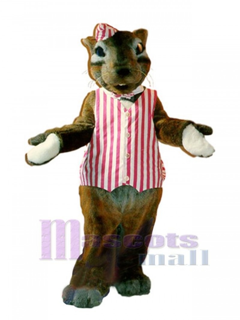 Chipmunk mascot costume