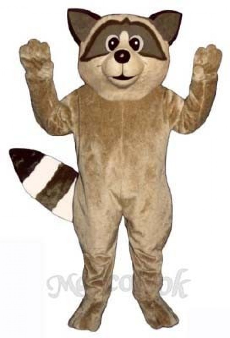 Cute Raccoon Mascot Costume