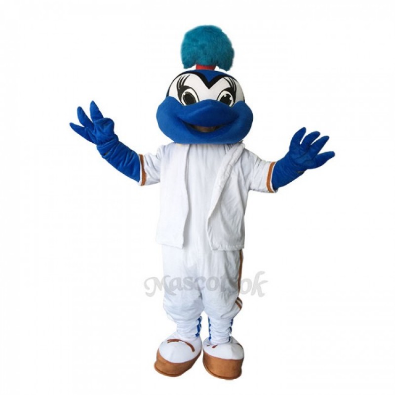 Lovely  Blue birds Mascot Costumes