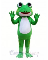 Green Frog Mascot Costume