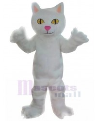 cat mascot costume