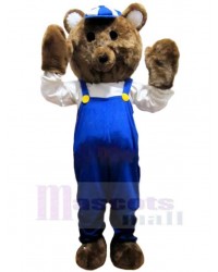 Bear mascot costume