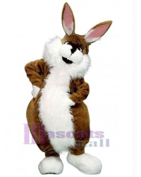 Easter Bunny Rabbit mascot costume