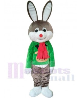 Bunny Rabbit mascot costume