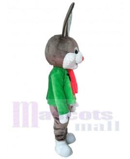 Bunny Rabbit mascot costume