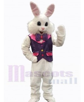 Easter Bunny Rabbit mascot costume