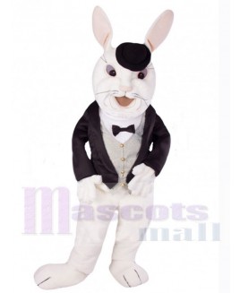 Easter Bunny Rabbit mascot costume