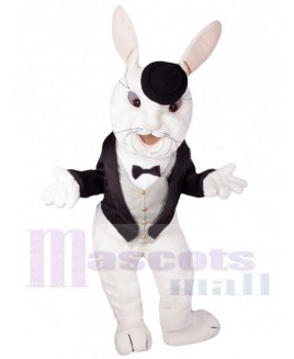 Easter Bunny Rabbit mascot costume