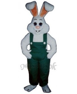 Easter Bunny Rabbit Boy Mascot Costume
