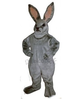 Easter Jack Bunny Rabbit Mascot Costume
