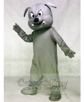 Grey Bulldog Mascot Costumes Animal 