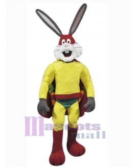 Easter Bunny Rabbit mascot costume