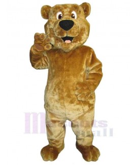 Bear mascot costume