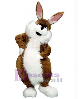 Easter Bunny Rabbit mascot costume