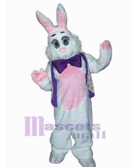 Easter Bunny Rabbit mascot costume