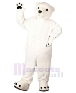 Bear mascot costume