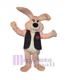 Easter Bunny Rabbit mascot costume