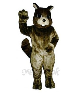 Squirrel Mascot Costume