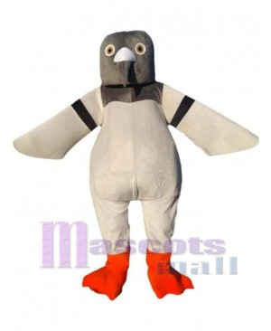 Pigeon Mascot Costume