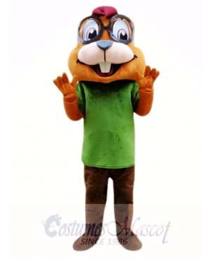 Chipmunk Mascot Costume Custom Fancy Costume