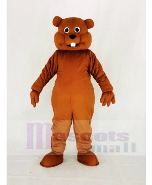 Cute Brown Nutty Squirrel Mascot Costume Animal