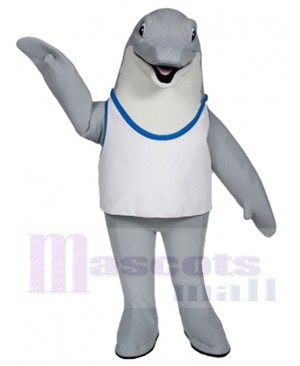 Dolphin mascot costume