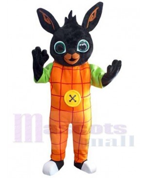 Easter Bunny Rabbit mascot costume