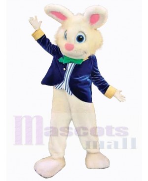 Easter Bunny Rabbit mascot costume