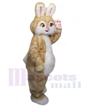 Easter Bunny Rabbit mascot costume