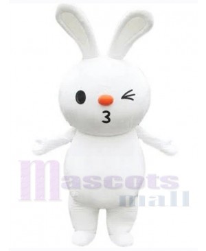 Easter Bunny Rabbit mascot costume