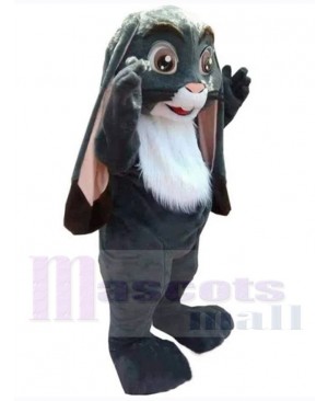 Easter Bunny Rabbit mascot costume