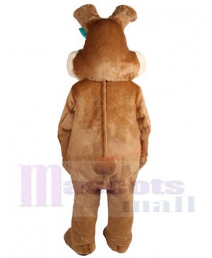 Easter Bunny Rabbit mascot costume