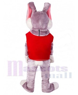 Easter Bunny Rabbit mascot costume