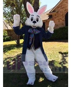 Easter Bunny Rabbit mascot costume